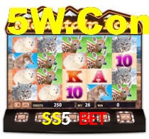 SS5 Bet,SS5 Jogo
